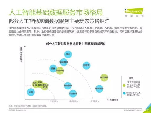 中國人工智能基礎數據服務行業報告 聚焦人工智能基礎軟件開發的核心引擎